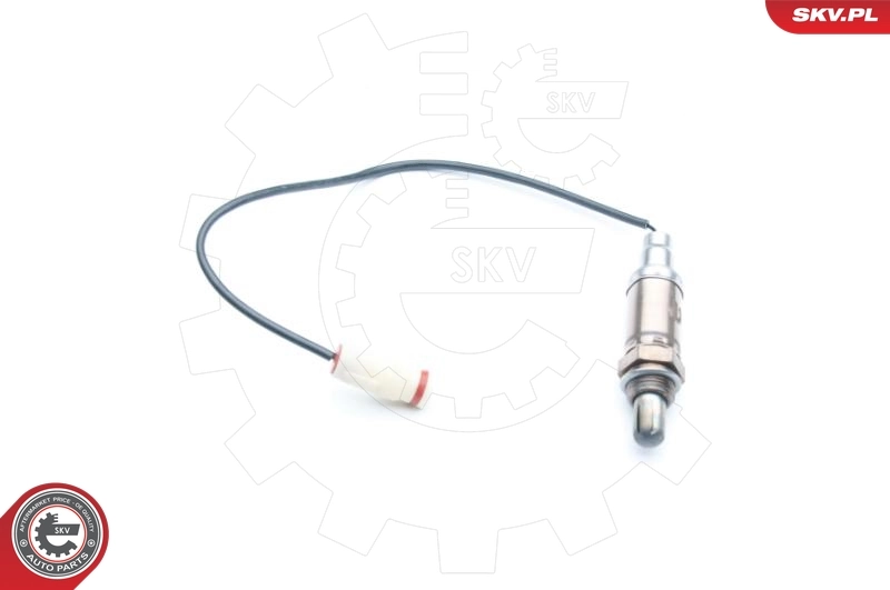 Oxygen Sensor